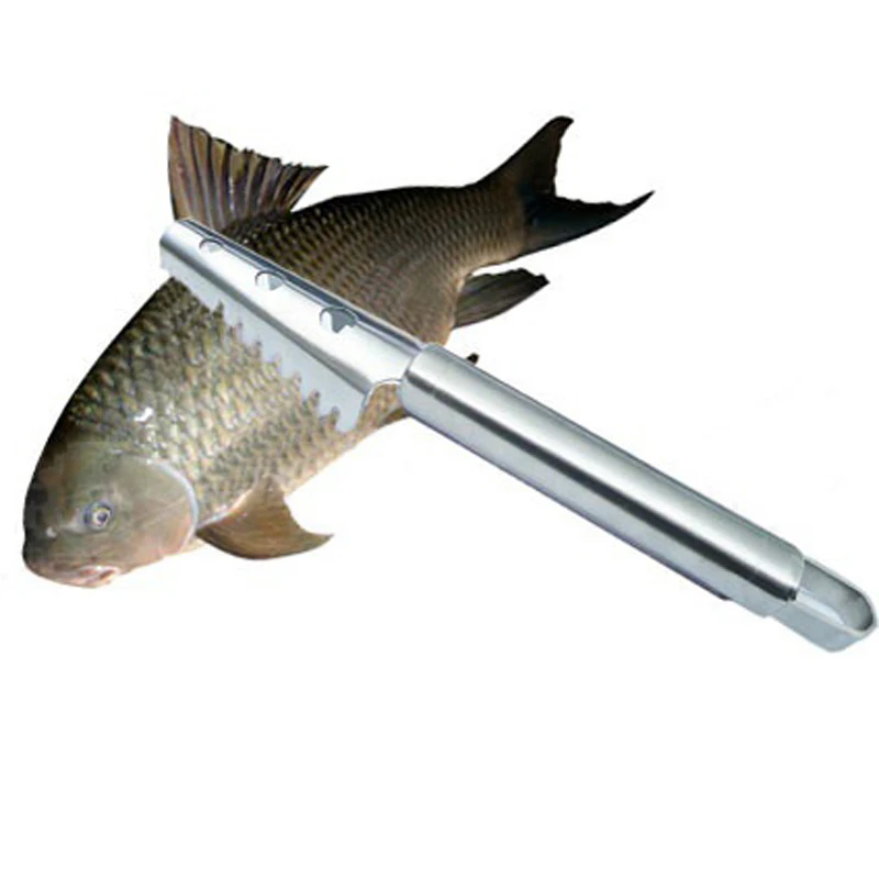 fish scale remover stainless steel cleaninging skin scales scraper kitchen cozinha accessory