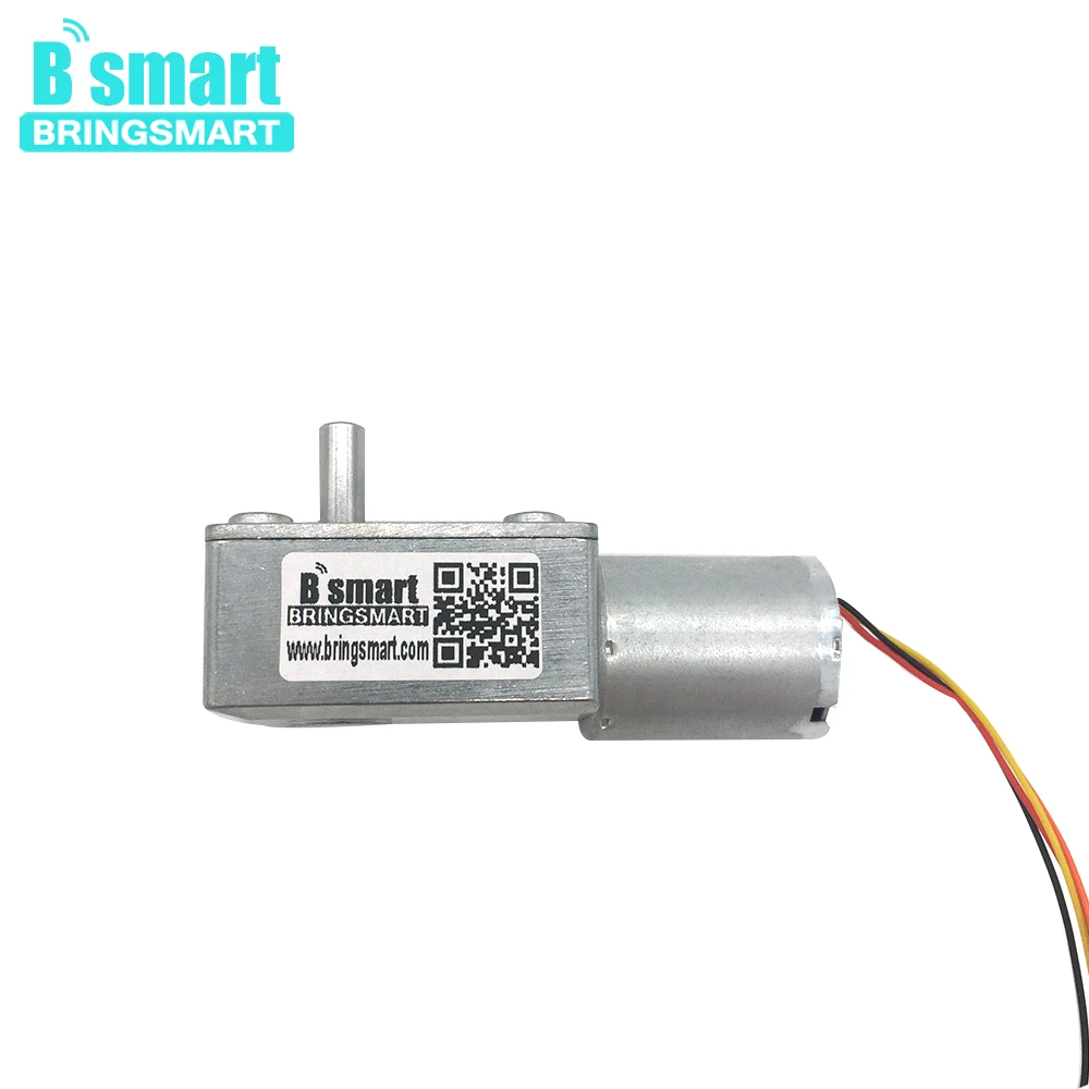 

Bringsmart JGY-2430 24v DC Worm Gear Motor 12v DIY Part Self-Locking Reversible Speed Measuring Brushless DC Motor For Low Noise