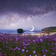 Фиолетовый Фэнтези поле ночной вид diy картина из бисера, пейзаж на заказ полный квадратный олень Алмазная вышивка пейзаж Парусник поезд