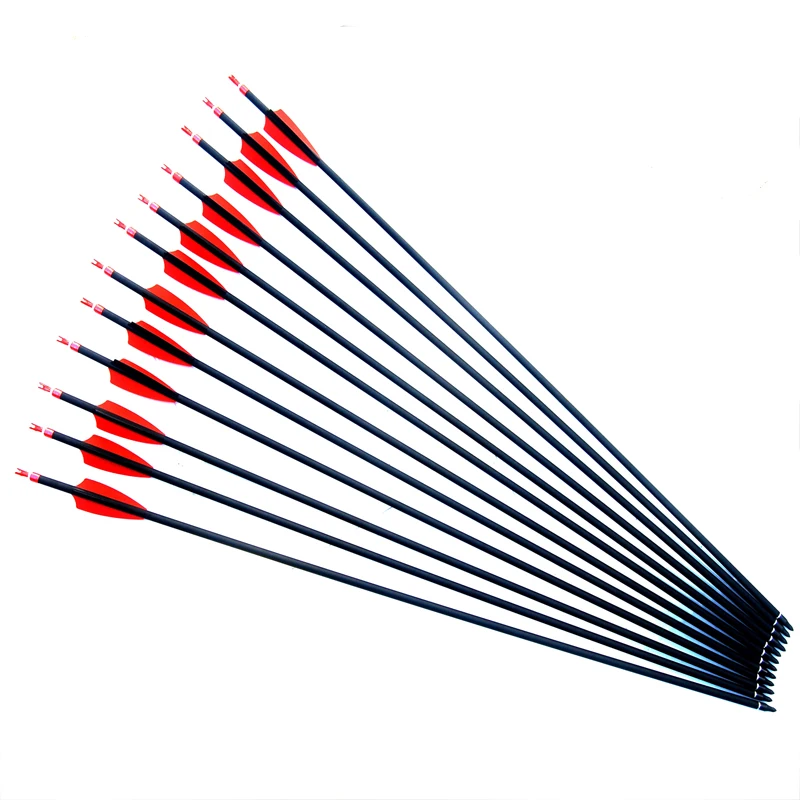 

Outdoors Archery Carbon Arrows 30Inch Spine 300/400 Shaft with Replaceable Arrow heads for Recuve & Compound Bow Hunting