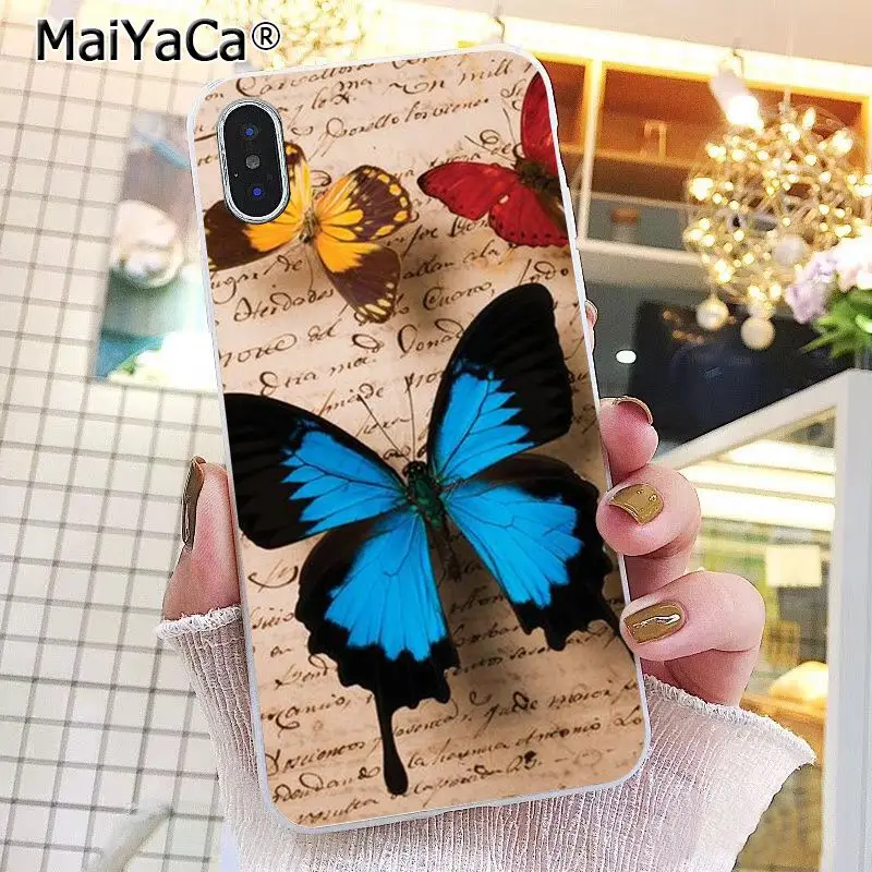 Butterfly Stand On The Cat Nose 