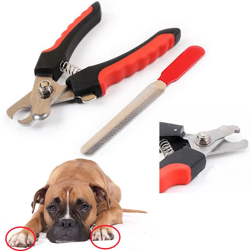 good quality Pet nail clipper large animal claw trimmer scissors