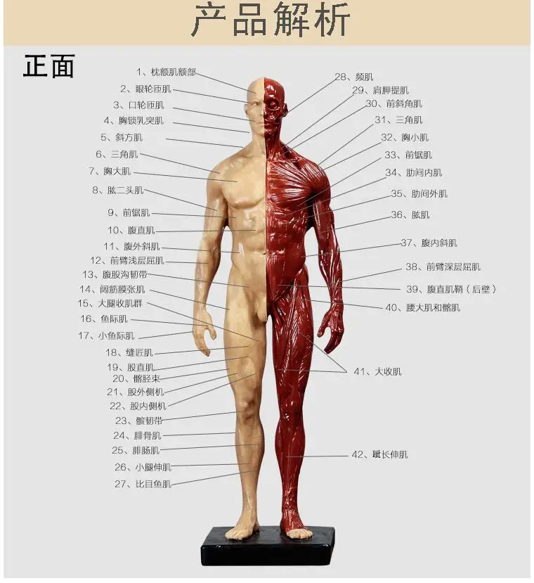 QQ20180706154316