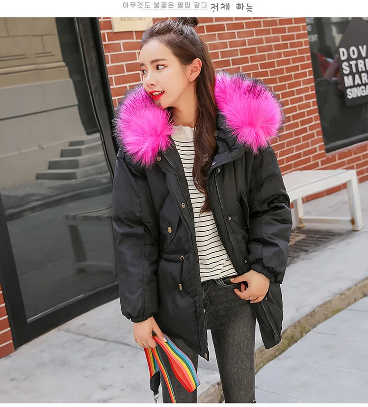 9012603501_1006637240