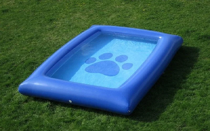pl10629574-mini_blue_indoor_inflatable_dog_swimming_pool_for_pets_3_2m_with_ce