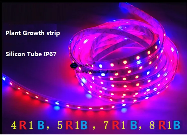 5 м/roll светодио дный Растениеводство полосы, 12 В 5050 красный синий ленты 4:1, 5:1, 7:1, 8:1, аквариум парниковых завод IP67 водонепроницаемые ленты