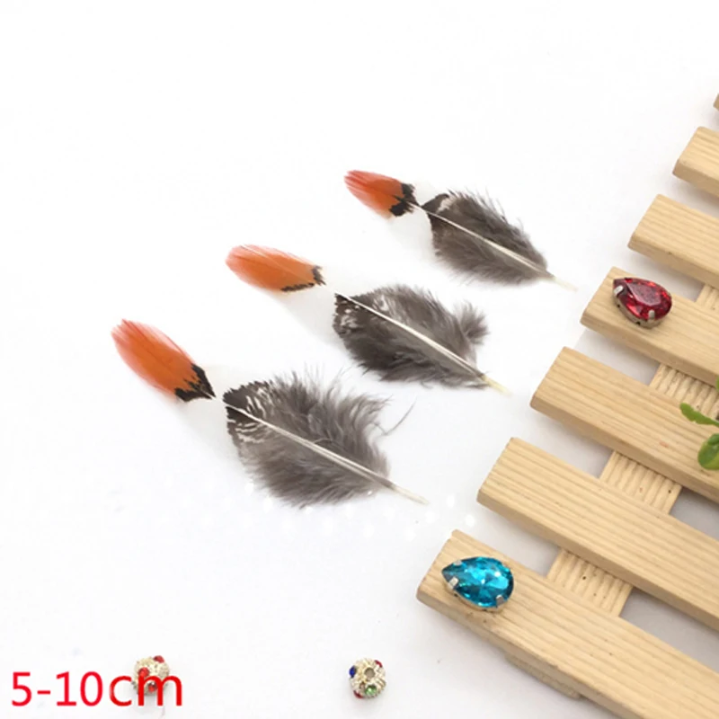 5-10 cm 