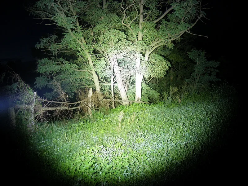 P7201030