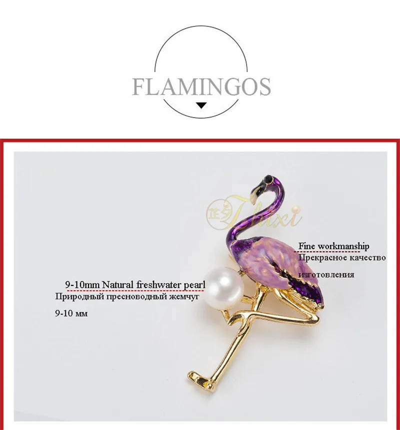 4656204797_1218050932_ - 