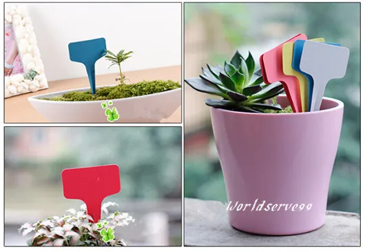 100 шт. пластиковые ярлыки для растений|diy garden decor|garden stakesplastic stakes |