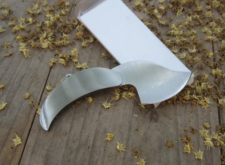 2068838197_742635196