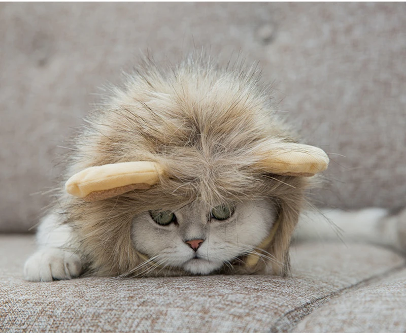 TB21aWvmrSYBuNjSspfXXcZCpXa_!!3105146889