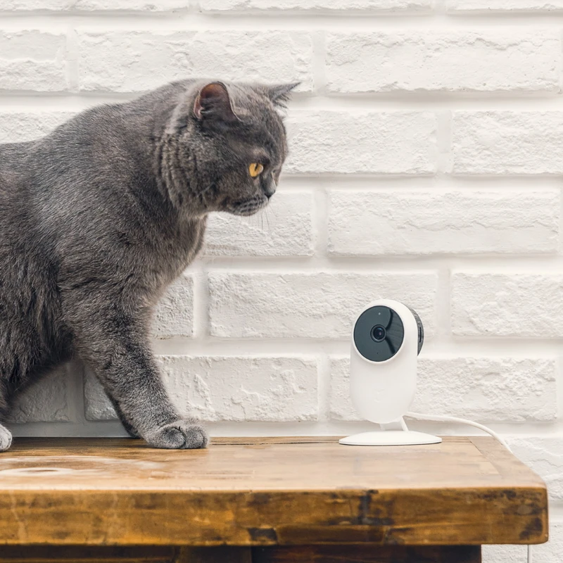Оригинальный Xiaomi mijia smart ip Камера 1080 P 2.4 г и 5.0 Wi Fi Беспроводной 130 Широкий формат 10 м