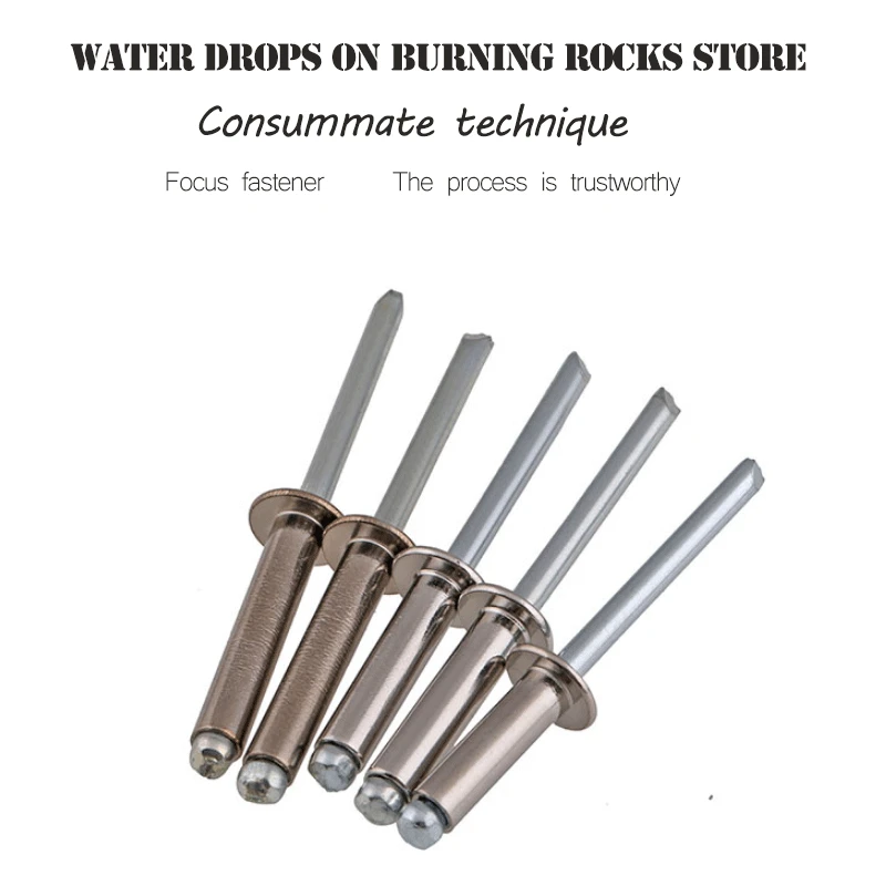 

M3.2 M3.2*5 3.2x5 M3.2*6 M3.2x6 304 Stainless Steel 304ss DIN7337 Self-Plugging Pull Nail POP Round Flat Head Blind Rivet