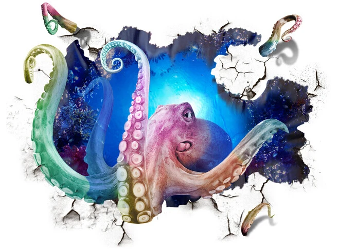 eight fish original photo.jpg