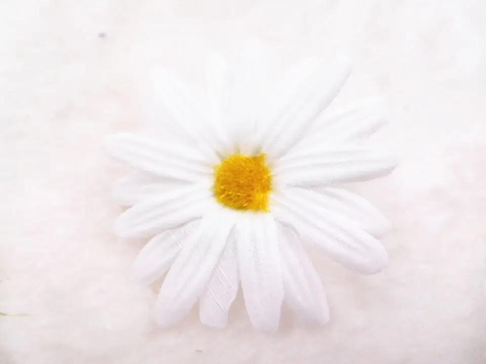 DSCN0454_