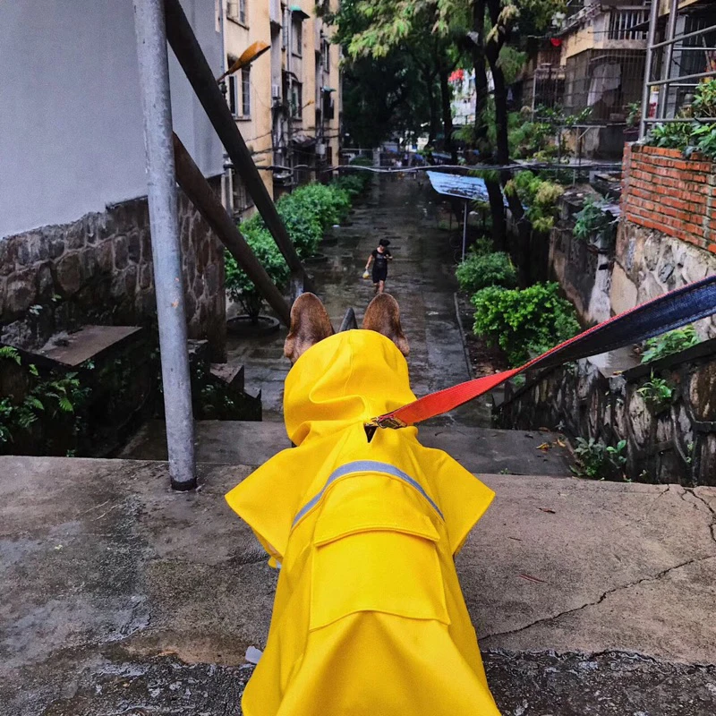 HEYPET Pet Big Dog Raincoat Waterproof Reflective Clothes for Small Large Dogs Jumpsuit Hooded Overalls Labrador Golden Retrieve