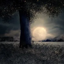 Набор для раскрашивания по номерам для взрослых DIY 40187