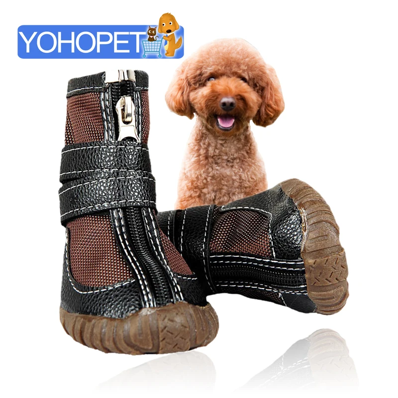 shoes with dog design