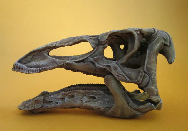 Ремесла Искусство 1/12 тираннозавр рекс череп динозавра ремесла Смола окаменелый имитация черепа модель для коллекционирования