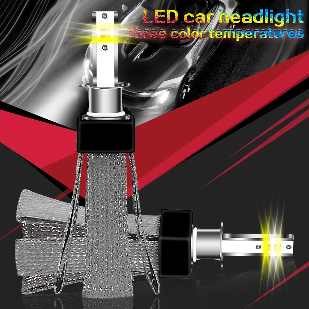 8722358496_319417087