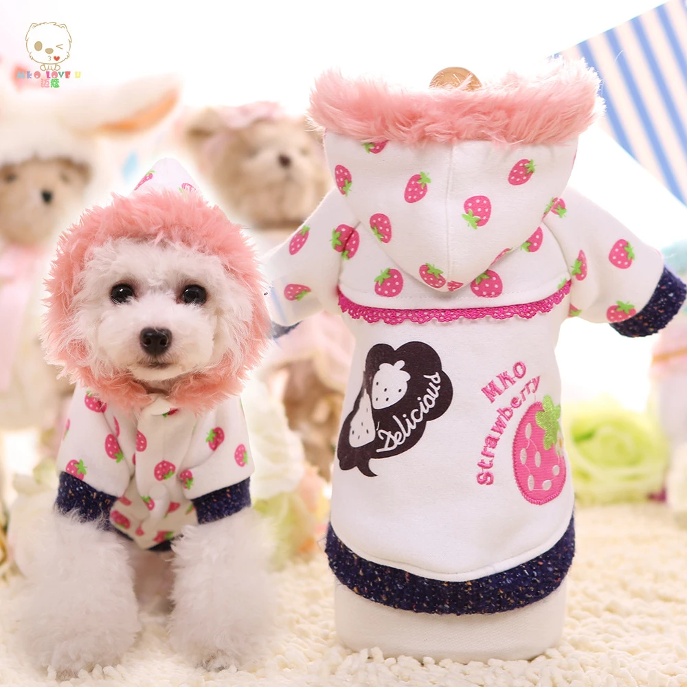 puppy clothes uk