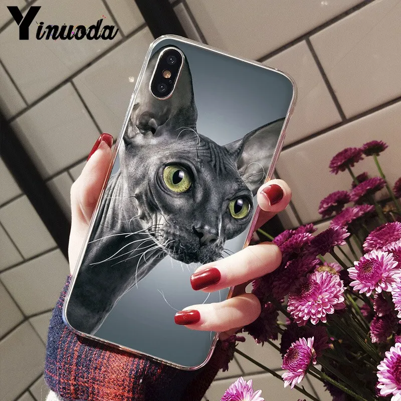 Yinuoda тату Сфинкс Кот ТПУ мягкий чехол для телефона Apple iPhone 8 7 6 6S Plus X XS MAX 5 5S SE XR