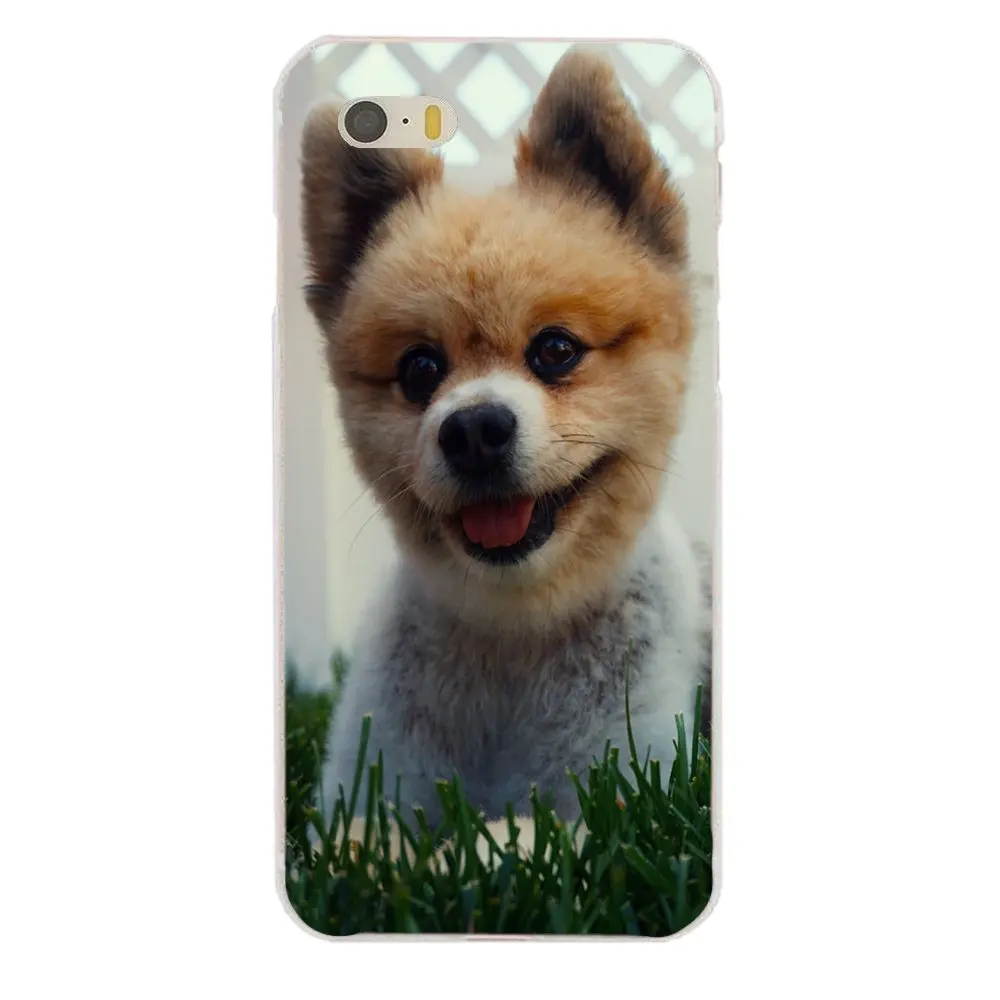 Pomeranian Puppy Dog для Sony Xperia Z Z1 Z2 Z3 Z4 Z5 compact Mini M2 M4 M5 T3 E3 E5 XA XA1 XZ Premium мягкий чехол с