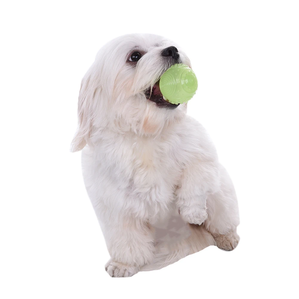 Self Luminous TPR Ball Squeaky Glow in The Dark Ball for Pets Pet Chew Toy Ball Pet Supplies Self Luminous TPR Ball Squeaky Glow in The Dark Ball for Pets Pet Chew Toy Ball Pet Supplies