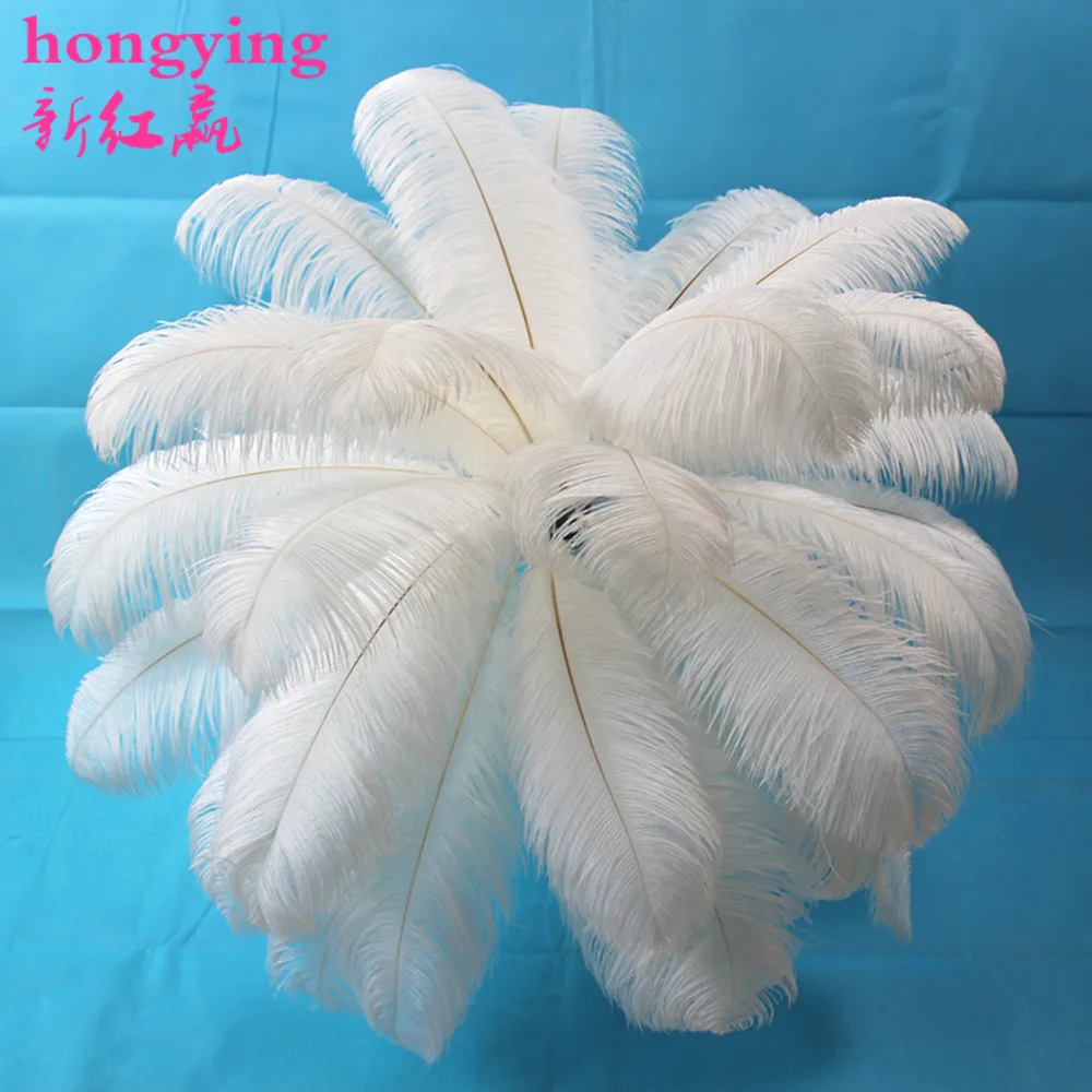 50 PCS čudovita bela nojeva perja od 50 do 55 cm / 20 do 22 centimetrov okrasnih perja