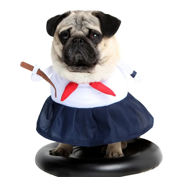 Dog Clothes (3)
