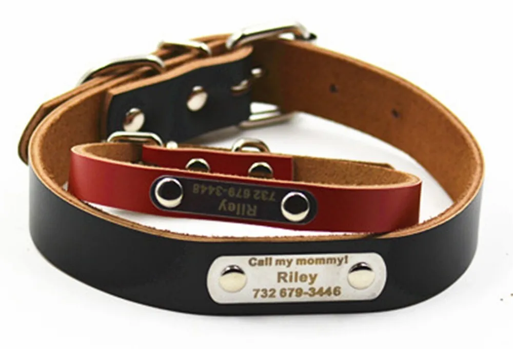 HTB1yULRJVXXXXcsXFXXq6xXFXXXs