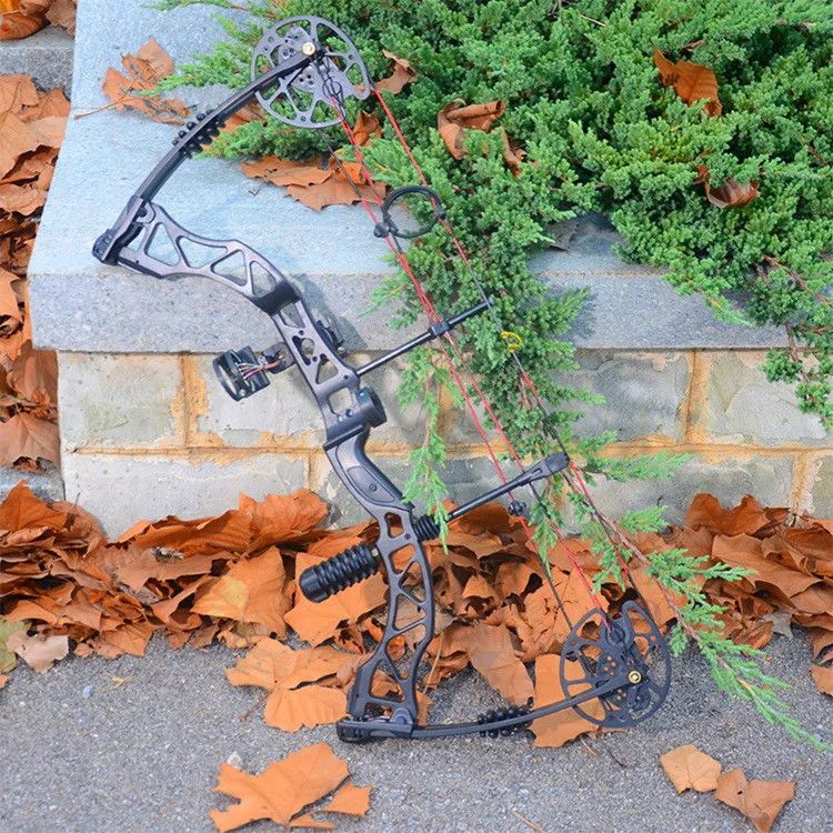 En venta Arco compuesto de 35lbs-70lbs, arma para tiro con arco, para caza, con accesorios completos 16WKGRz8