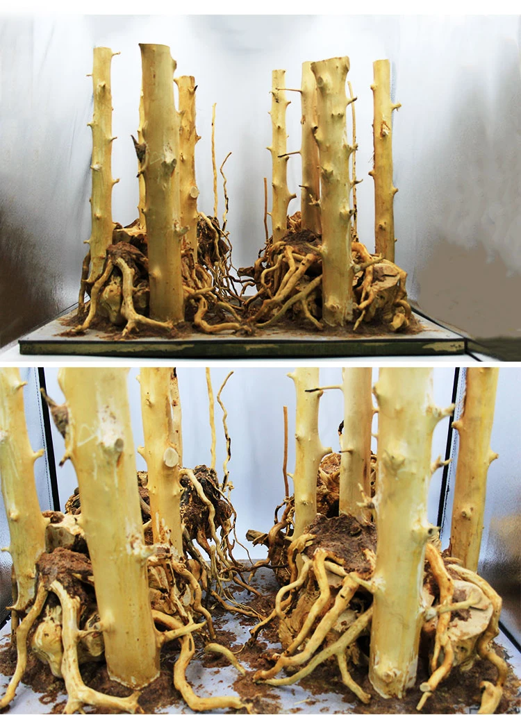 TB21iIKgA7mBKNjSZFyXXbydFXa_!!611006483