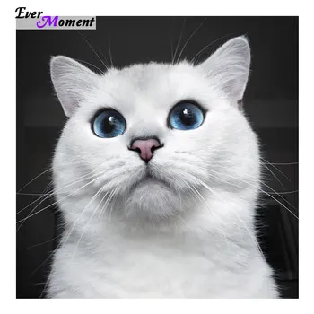 

Ever Moment Diamond Embroidery Cats DIY 5D Diamond Mosaic Kit Painting Rhinestones Full square Hobby Craft Needlework ASF601