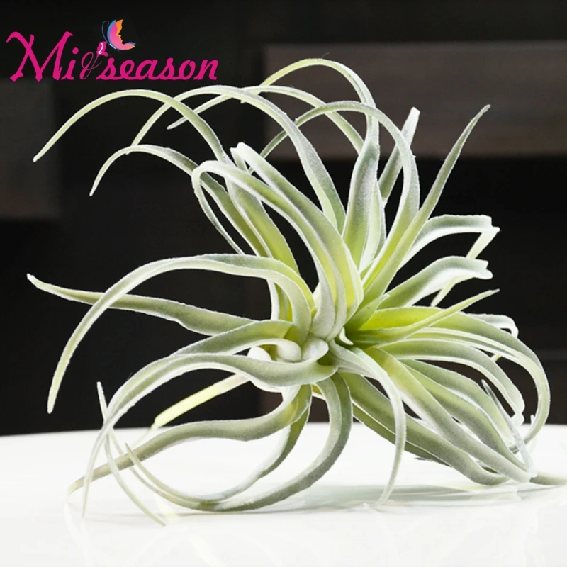 Flocking Artificial Fleshiness Air Grass Plant Microlandschaft Decorative Flower Home Balcony Decoration Wedding Festival Plants Flocking Artificial Fleshiness Air Grass Plant Microlandschaft Decorative Flower Home Balcony Decoration Wedding Festival Plants