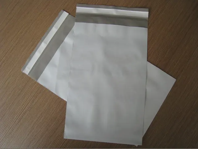 Singapore Only Free Express Shipping 1000pcs Of 23x31cm Poly Mailer Singapore Only Free Express Shipping 1000pcs Of 23x31cm Poly Mailer Mailing Bags
