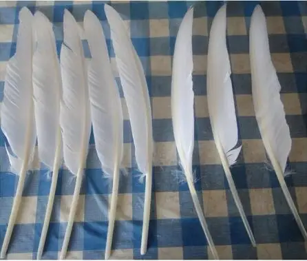 

Wholesale and Retail High Quality Swan Feather Pen,25cm,Left and Right,20pcs/lot.DIY Decoration,Wedding Supplies,Free Shipping!