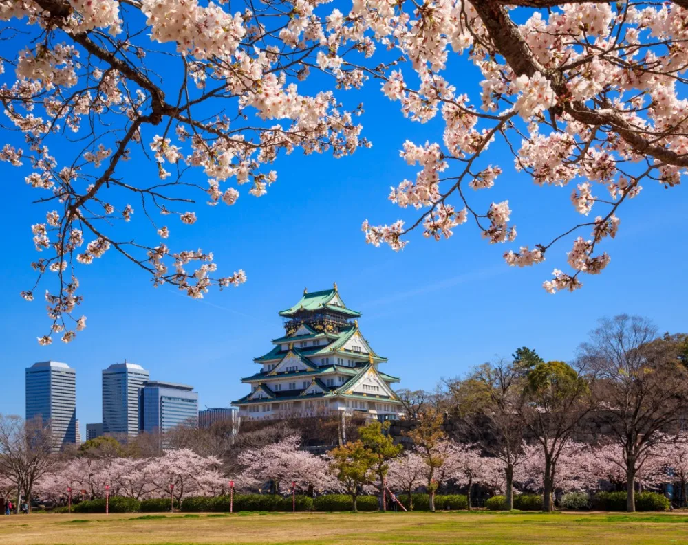 7x5ft Japan Kyoto Temple Sakura Flowers Blossoom Washable No