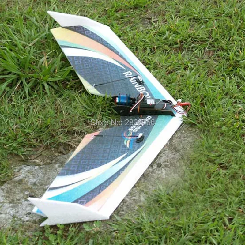 Rainbow Fly wing-1 (4)_