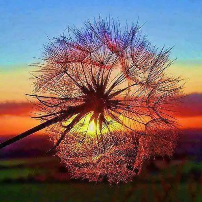 Diy Diamond Painting Cross Stitch 5D Diamond Painting Mosaic Decor Full Diamond Embroidery Crafts Sunset dandelion