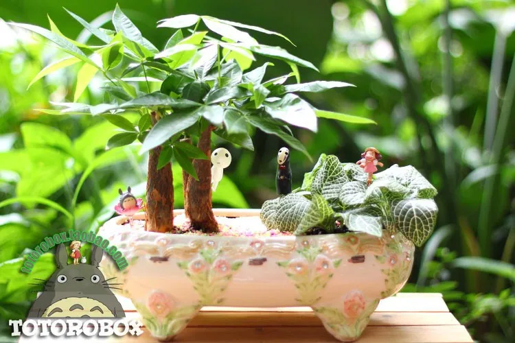 1848170104_1234778448 (1)