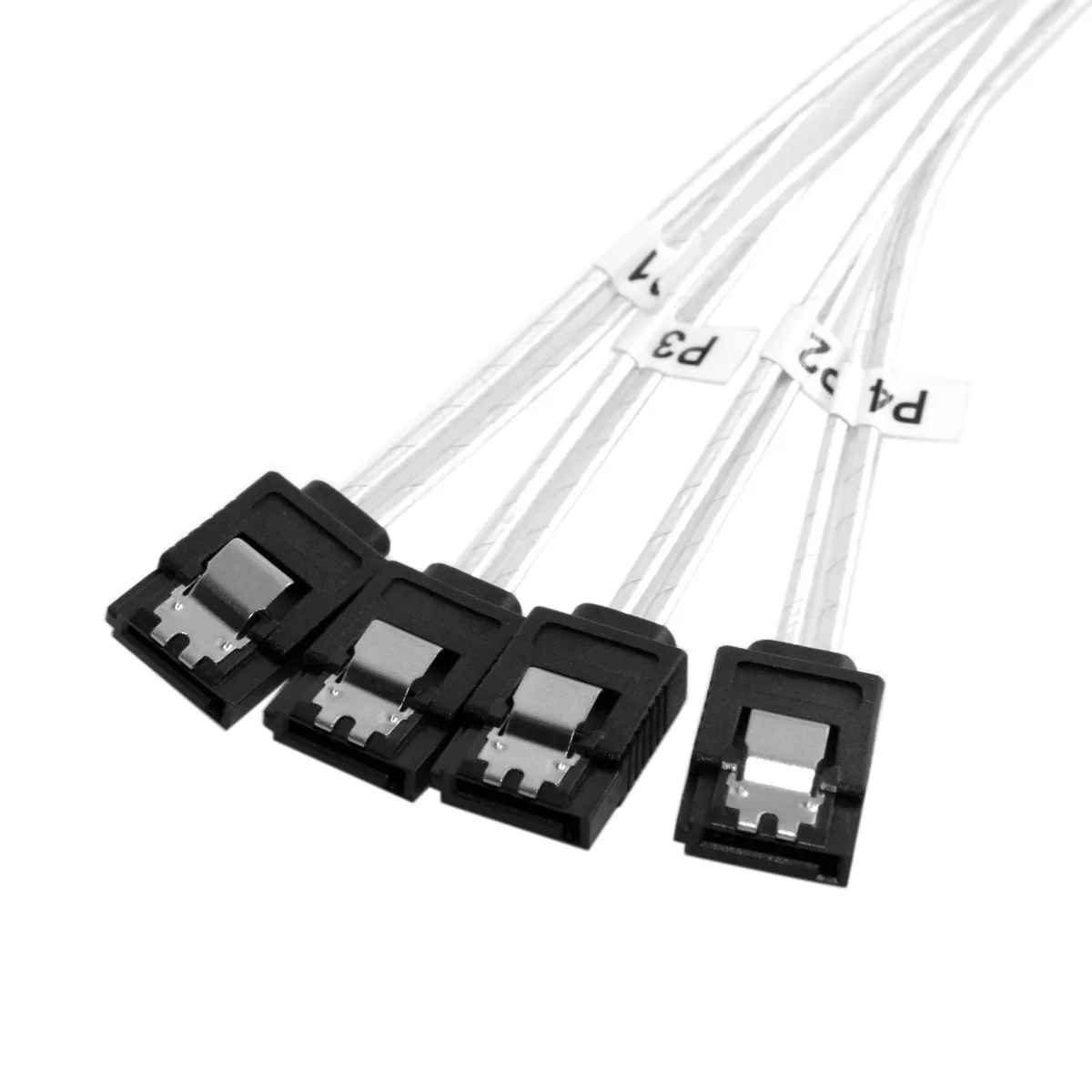 498025-7974de.jpg