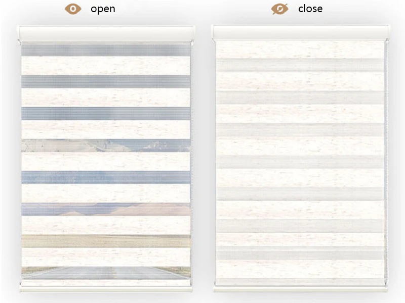 Подгонянный размер окна оттенки полный Блокировка двойные рулонные шторы с зебровым принтом