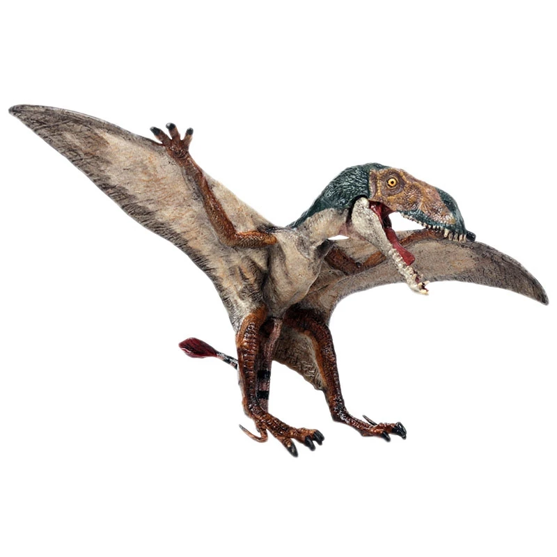 

Simulation Dinosaur World Pterosaur Model New Spread Wings Dragon Wings Dragon Children Solid Plastic Toys Realistic Prehistor