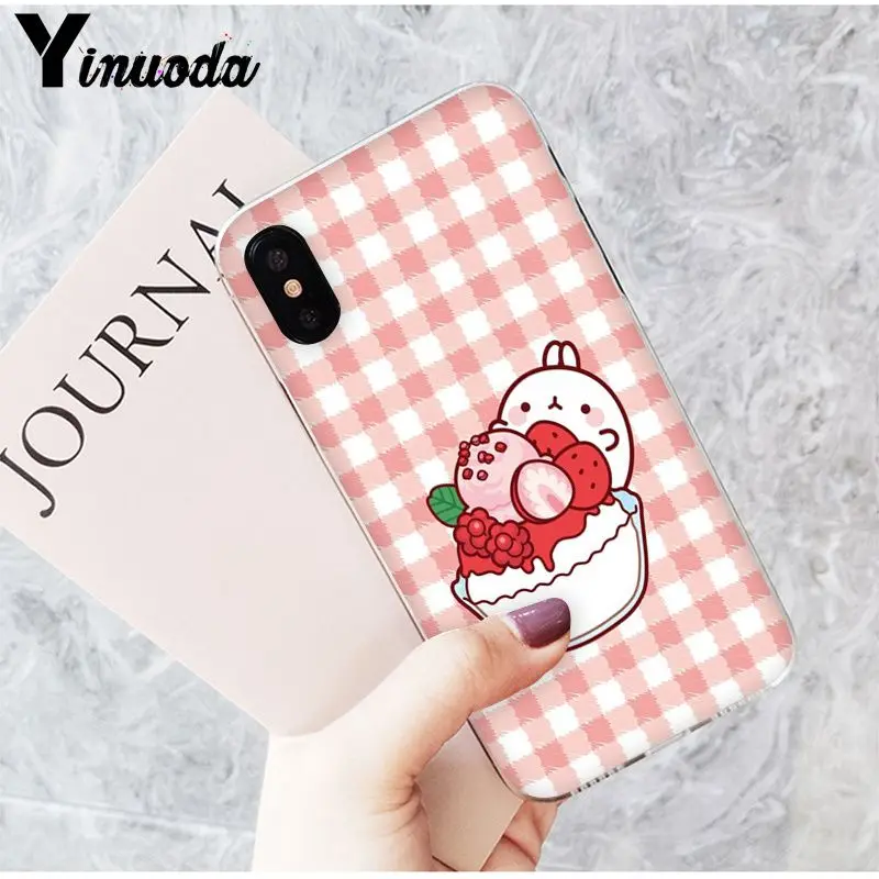 Funny and cute cartoon rabbit