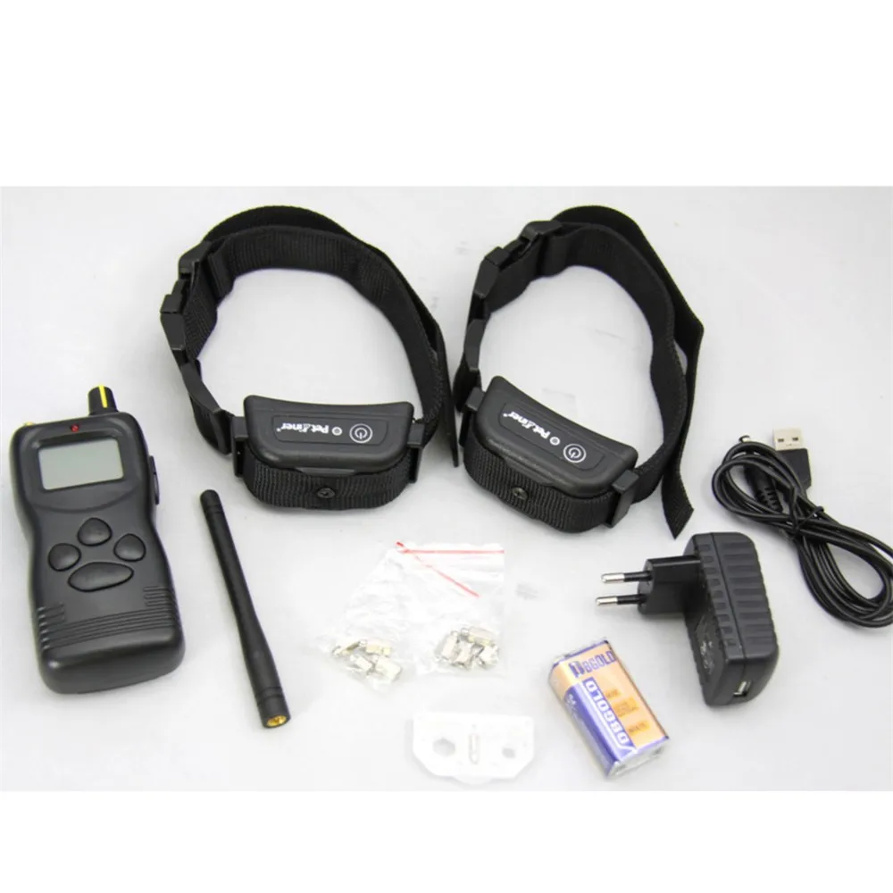 WT759B 2dog training (8)
