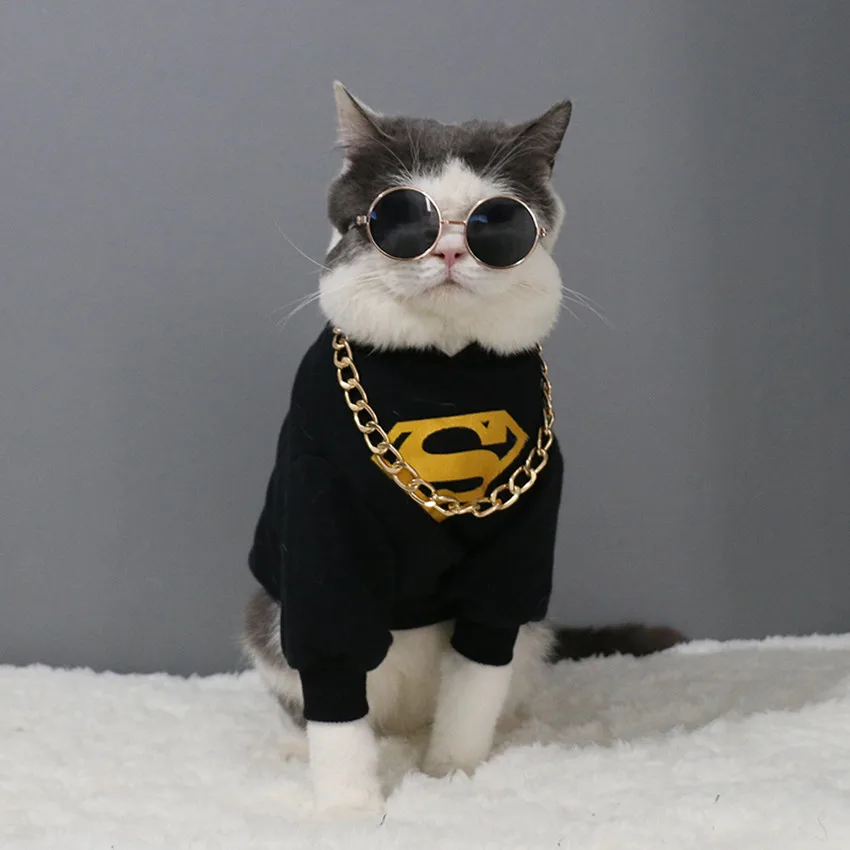 Кот в кофте. Крутой кот. Кот в очках. Модный кот. Одежда для кошек.