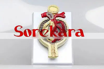 

Human Anatomical Kidney Organ Medical Teach Model School Hospital