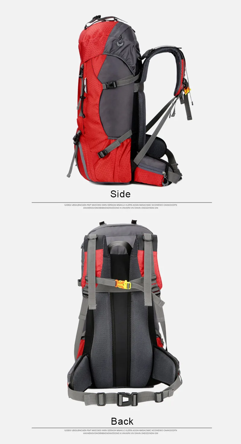 3995370272_317209040